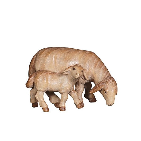Mouton avec agneau broutant Pema